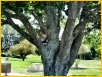 Malmsbury